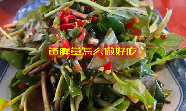 给大家介绍鱼腥草怎么做好吃及鱼腥草的作用