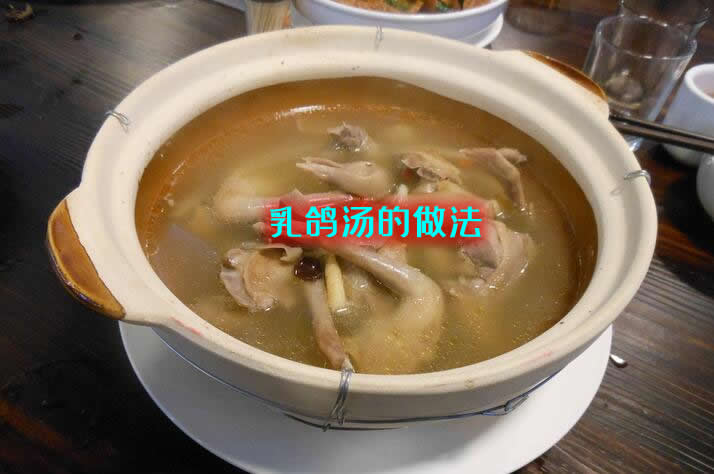 味道鲜美，非常适合全家进补食用的 乳鸽汤怎么做