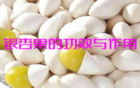 银杏果有什么作用和功效_银杏果的药用价值