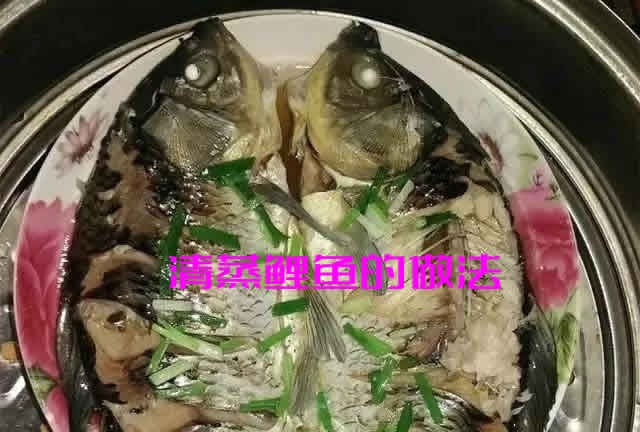 鲤鱼怎么做好吃之清蒸鲤鱼的做法介绍