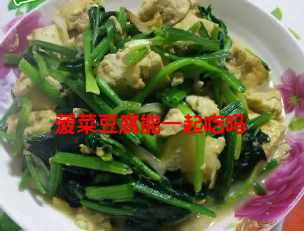 大家了解菠菜豆腐能一起吃吗？一起看它的两种做法