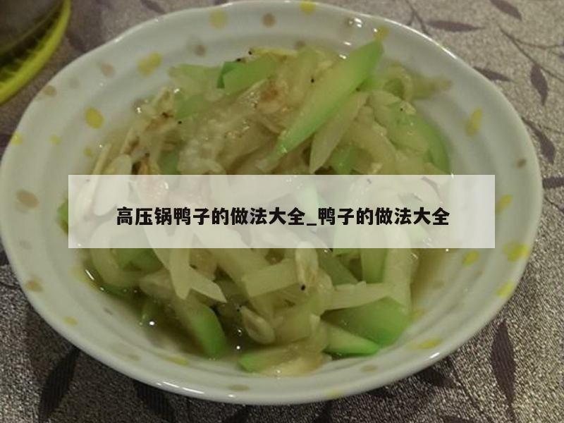 高压锅鸭子的做法大全_鸭子的做法大全