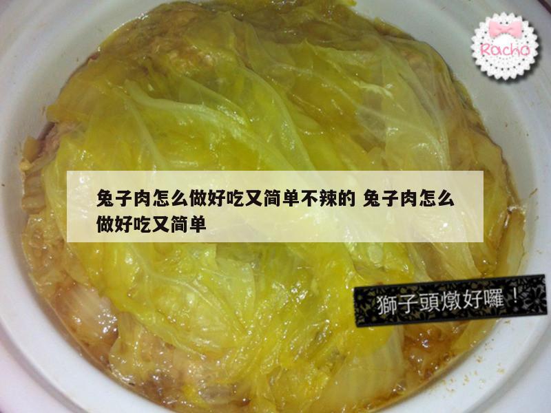 兔子肉怎么做好吃又简单不辣的 兔子肉怎么做好吃又简单