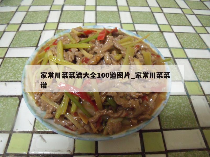 家常川菜菜谱大全100道图片_家常川菜菜谱