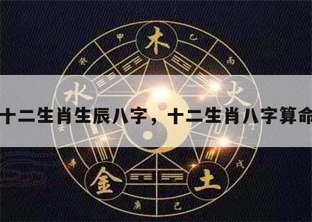 十二生肖生辰八字，十二生肖八字算命