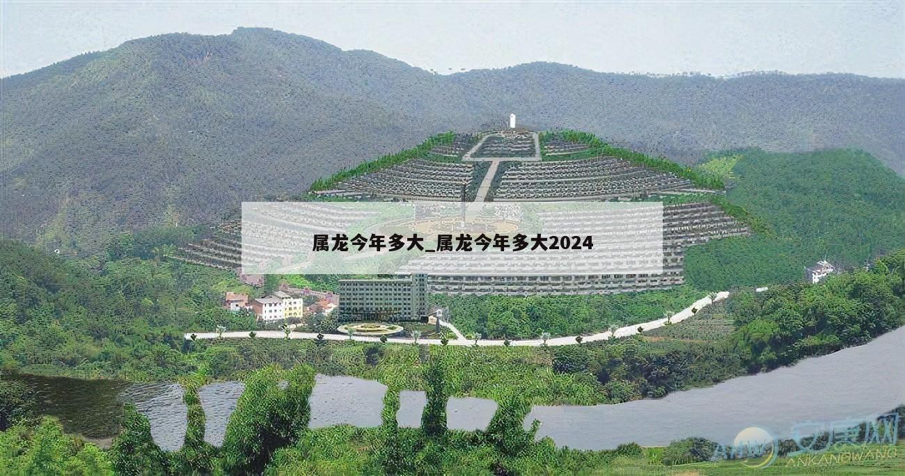 属龙今年多大_属龙今年多大2024