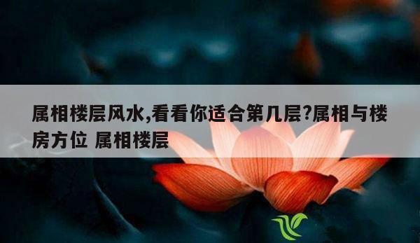 属相楼层风水,看看你适合第几层?属相与楼房方位 属相楼层