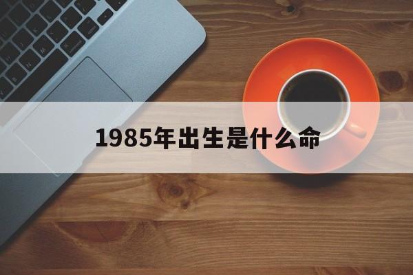 1985年出生是什么命