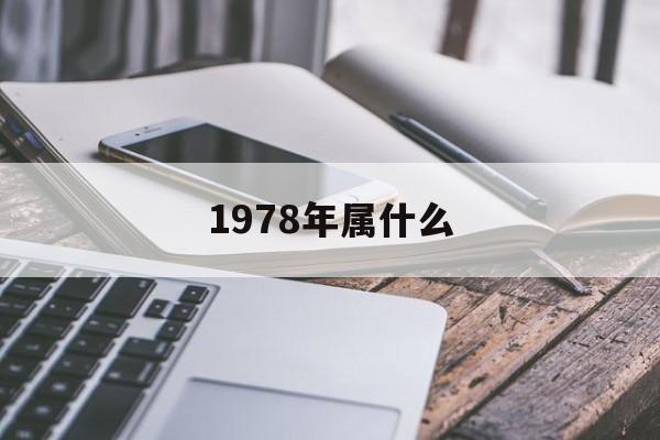 1978年属马的是什么命_1978年属什么